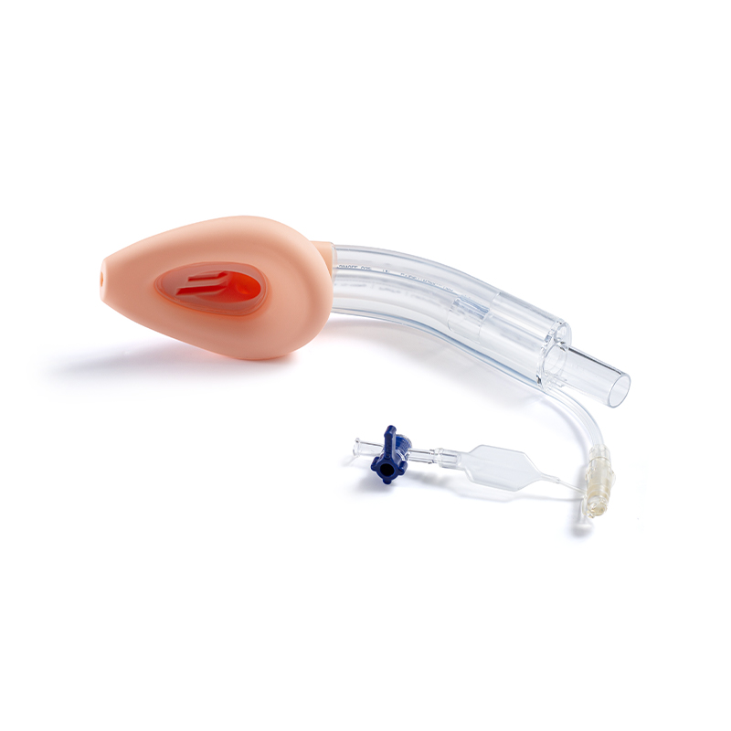 Dubbel lumen anti-aspiratie larynxmasker Luchtweg